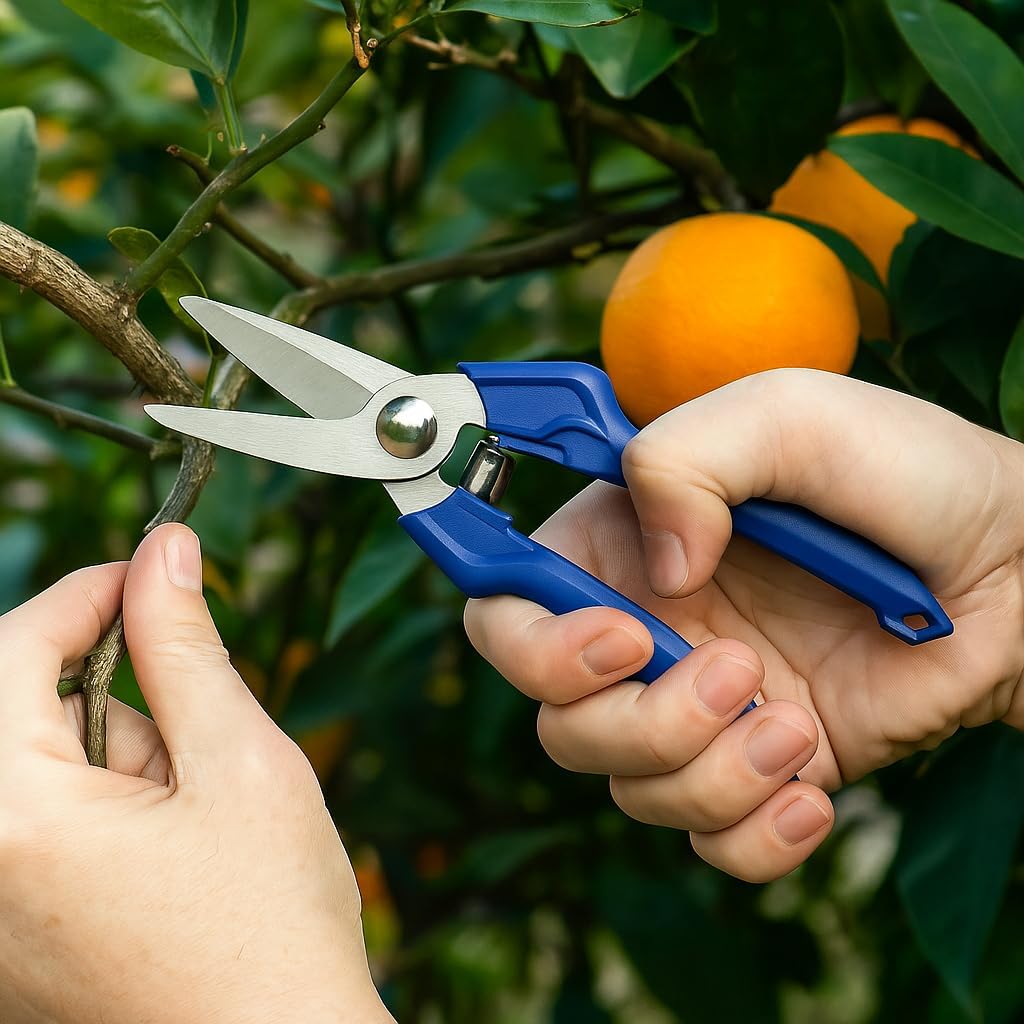 Gardening Scissors Pruning Shears, Blue Handle, Stainless Steel Blades, for Pruning Branches
