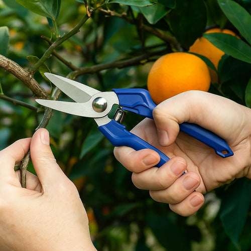 Gardening Scissors Pruning Shears, Blue Handle, Stainless Steel Blades, for Pruning Branches